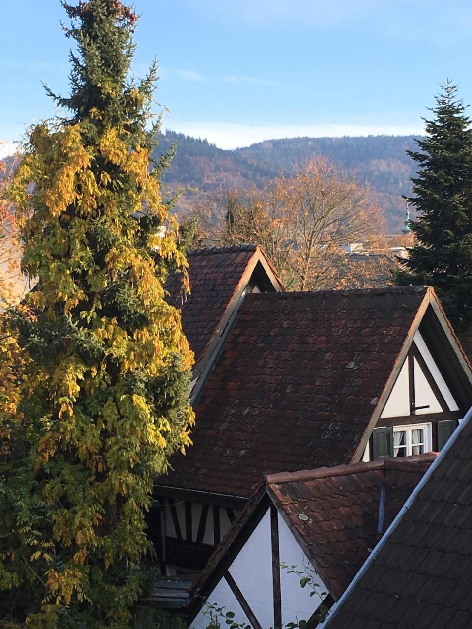 Die Gruene Bettlad Boutique-Hotel Bühl Eksteriør billede